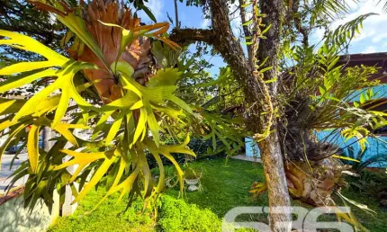 Casa com 3 quartos à venda na Rua Santa Catarina, 4310, Santa Catarina, Joinville
