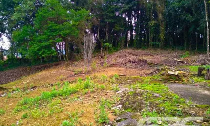 Terreno à venda na Rua Tenente Antônio João, 300, Bom Retiro, Joinville
