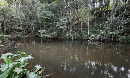 Chácara / sítio à venda na Estrada Do Imbuial, Zona Rural, Campina Grande do Sul