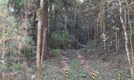 Chácara / sítio à venda na Rua Coronel Monteiro, Zona Rural, Campina Grande do Sul