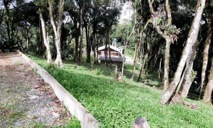 Chácara / sítio com 3 quartos à venda na Área Rural, Zona Rural, São José dos Pinhais