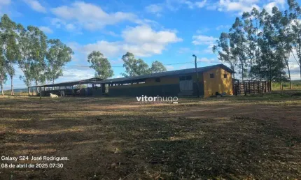 Fazenda à venda na Zona Rural, Buenópolis 