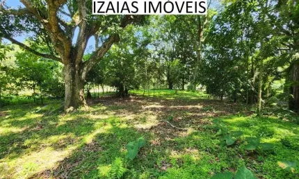 COD 231: SITIO AMPLO COM ÁRVORES FRUTIFERAS - SAQUAREMA.