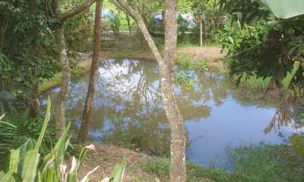 Chácara / sítio com 2 quartos à venda na Estrada Existente, Marmelo, Mairiporã