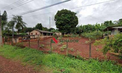 Chácara com 3 dormitórios à venda, 3000 m² por R$ 800.000,00 - Gleba Lindóia - Londrina/PR