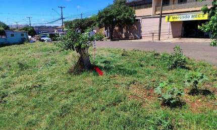 Terreno à venda, 318 m² por R$ 240.000,00 - Residencial Vila Romana - Londrina/PR