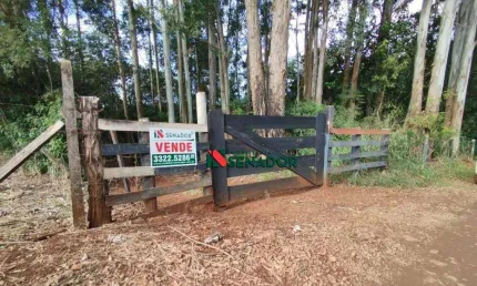 Chácara com 1 dormitório à venda, 34451 m² por R$ 1.500.000,00 - Zona Rural - Ibiporã/PR