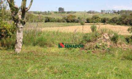 Sítio com 2 dormitórios à venda, 62500 m² por R$ 2.200.000 - Paiquerê - Londrina/PR