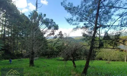 Lote a venda em condomínio em santo antonio do pinhal