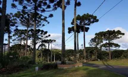 Terreno em condomínio fechado à venda na Rua Osmário de Oliveira Bastos, 1353, Vila Fuck, Piraquara