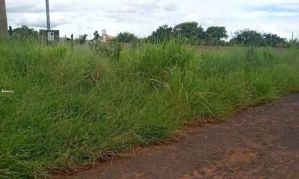 Terreno à venda, 5000 m² por R$ 500.000,00 - Chácaras Mariitas - Uberaba/MG