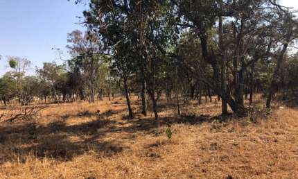 Chácara com 1 dormitório à venda, 21000 m² por R$ 1.150.000,00 - Jockey Park - Uberaba/MG