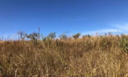 Sítio à venda, 0 m² por R$ 200.000 - Zona Rural - Perdizes/MG