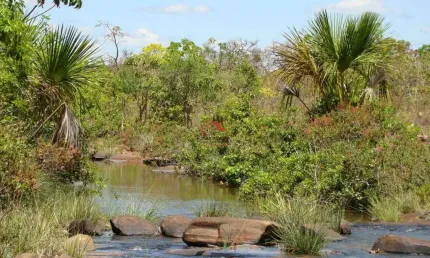 FAZENDA À VENDA EM BRASILÂNDIA DE MINAS - MG - SENTIDO SANTA FÉ NA MG190