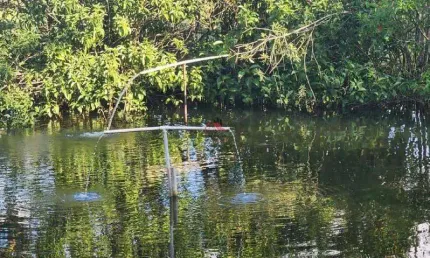 Chácara / sítio com 3 quartos à venda na Área Rural de Uberaba, Uberaba 