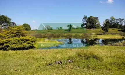 Chácara / sítio com 4 quartos à venda no Centro, Careiro , 4800 m2 por R$ 120.000