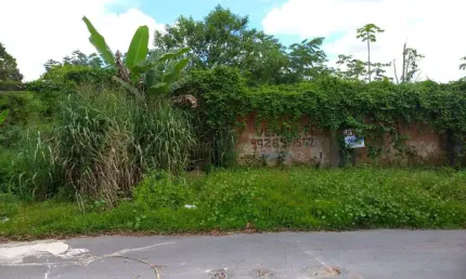 Terreno à venda no Tarumã, Manaus 