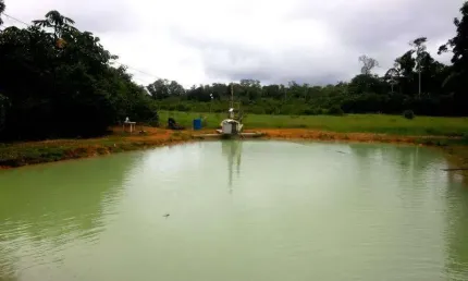 Chácara / sítio com 4 quartos à venda no Centro, Presidente Figueiredo , 144 m2 por R$ 500.000