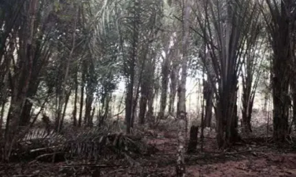 Terreno à venda na Zona Rural, Iranduba  por R$ 250.000