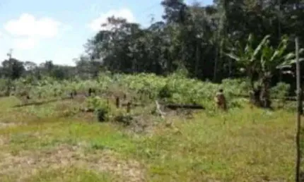 Terreno à venda na Área Rural de Manaus, Manaus  por R$ 40.000