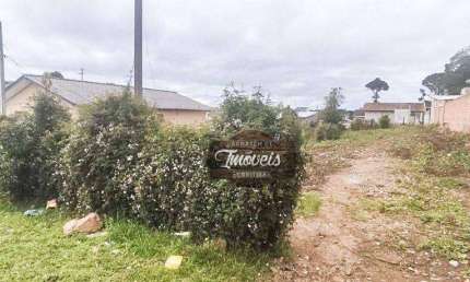 Terreno à venda, 675 m² por R$ 199.000,00 - Borda Do Campo - São José dos Pinhais/PR