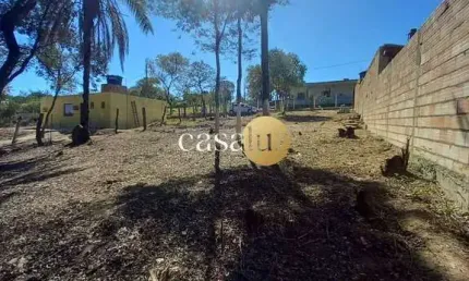 Terreno localizado no bairro  Jardim Nazareno /Betim