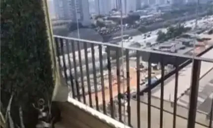 Apartamento com 3 quartos à venda em Vila Gomes Cardim - SP