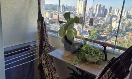 Apartamento com 3 quartos à venda em vila nova cachoeirinha - sp