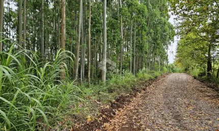 Chácara / sítio com 1 quarto à venda na Bento Gonçalves, 100, Centro, São Valentim do Sul