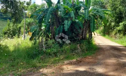 Chácara / sítio com 1 quarto à venda na Rs 431, 13, Faria Lemos (Distrito), Bento Gonçalves