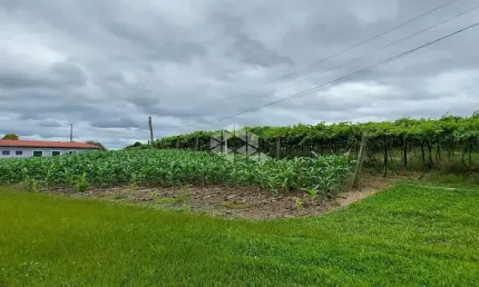 Fazenda à venda na Rural Tuiuty, 10, Zona Rural, Bento Gonçalves