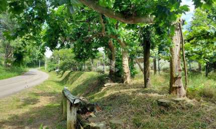 Chácara / sítio à venda na Linha Santo Isidoro, 10, Centro, Monte Belo do Sul