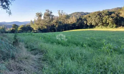 Chácara / sítio com 1 quarto à venda na Colônia  Sertorina, 01, Monte Verde, Farroupilha