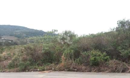 Excelente terreno a venda Loteamento Residencial Reserva Palmeiro