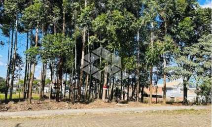 Terreno à venda na Paolo Fenocchio, 72, Universitário, Bento Gonçalves