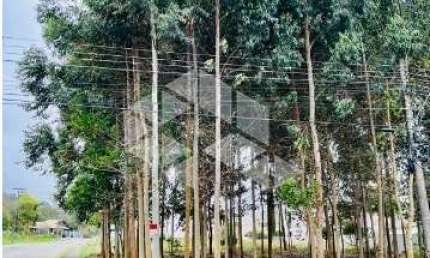 Terreno à venda na Rua Zulmiro de Rossi, 1, Universitário, Bento Gonçalves