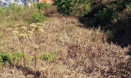 Terreno à venda na Bramante Mion, 10, Ouro Verde, Bento Gonçalves