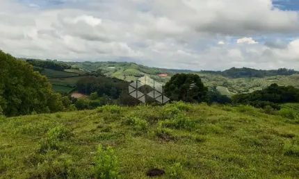 Chácara / sítio à venda na São Pedro, 10, Barracão, Bento Gonçalves