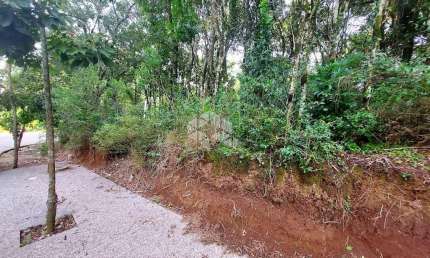 Terreno à venda na Rua Elizeu Grasselli, 55, Progresso, Bento Gonçalves
