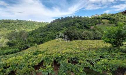 Chácara / sítio com 1 quarto à venda na Joaquim Toniollo, 111, São Vendelino, Bento Gonçalves