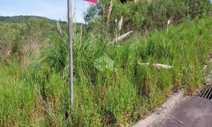 Terreno à venda na Estrada Dos Imigrantes, S/n - Bairro Cruzeiro, 1, Cruzeiro, Bento Gonçalves