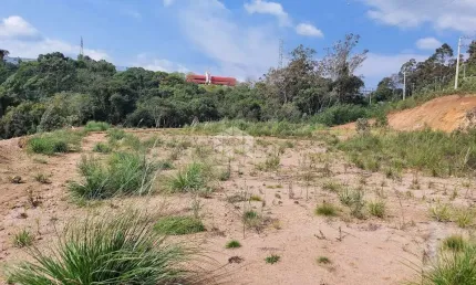 Terreno comercial plano entre Bento Gonçalves e Garibaldi