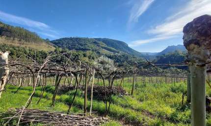 Chácara / sítio com 1 quarto à venda na Pederneira, 10, Zona Rural, Santa Tereza