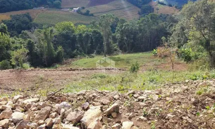 Chácara / sítio com 1 quarto à venda na Mario Salton, 10, Tuiuty (Distrito), Bento Gonçalves