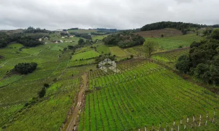 Área de terra na linha leopoldina vale dos vinhedos