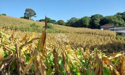 Terreno à venda na José Batista Medero, 2, Integração, Garibaldi