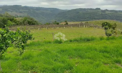 Chácara / sítio com 1 quarto à venda na Linha Argemiro, 41, Centro, Monte Belo do Sul