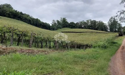 Chácara / sítio à venda na Da Uva E Do Vinho, 50, São Valentin, Bento Gonçalves