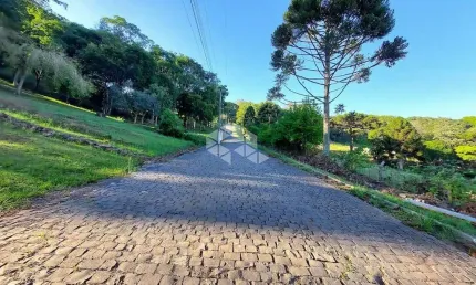 Chácara / sítio à venda na Rs444, 10, Vale dos Vinhedos (Distrito), Bento Gonçalves