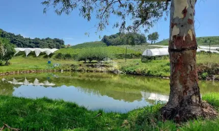 Chácara / sítio à venda na Caminhos De Pedra, 10, Zona Rural, Bento Gonçalves